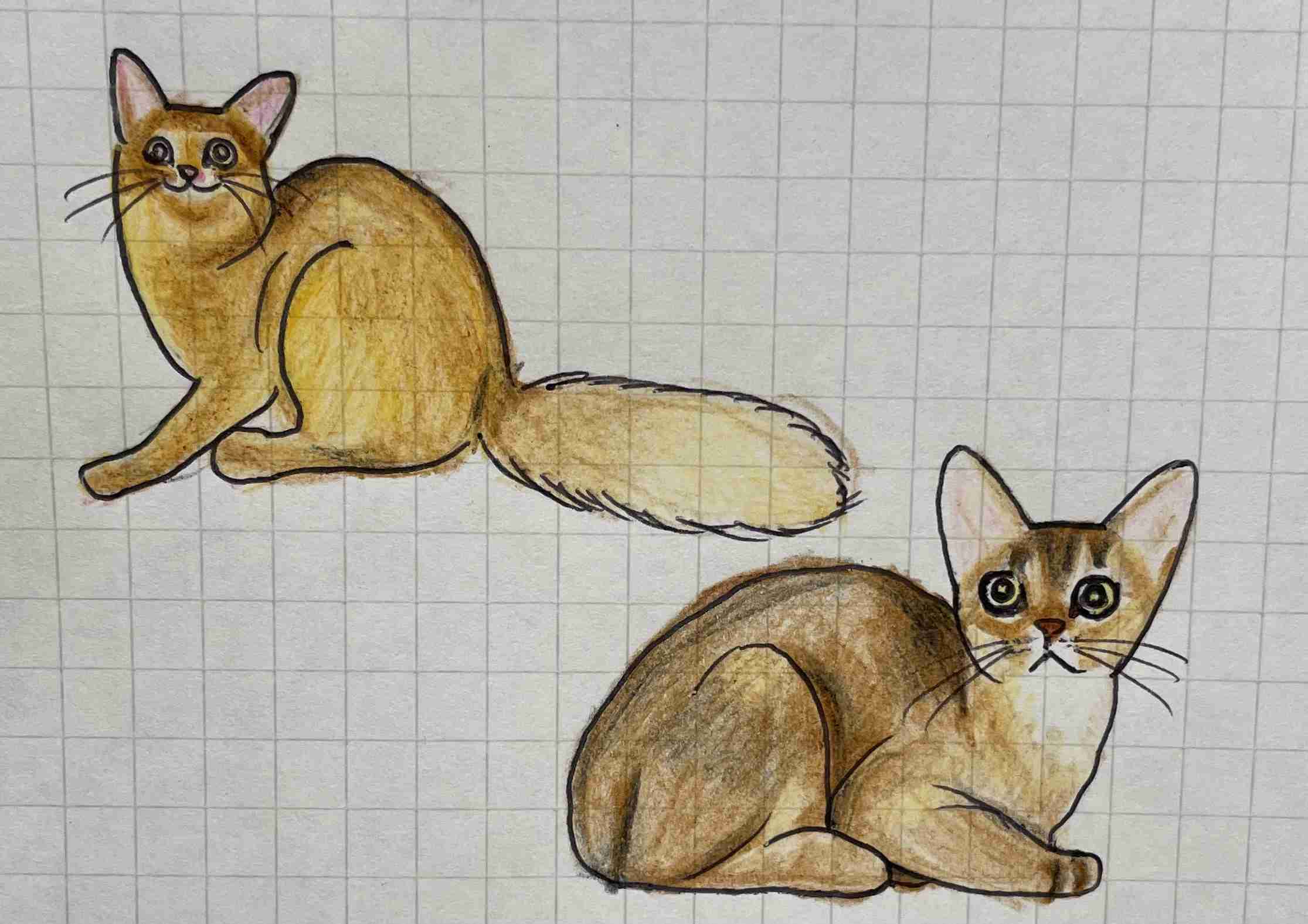 【お絵かき】お題を出すと、気が向いた誰かが描いてくれるトピ