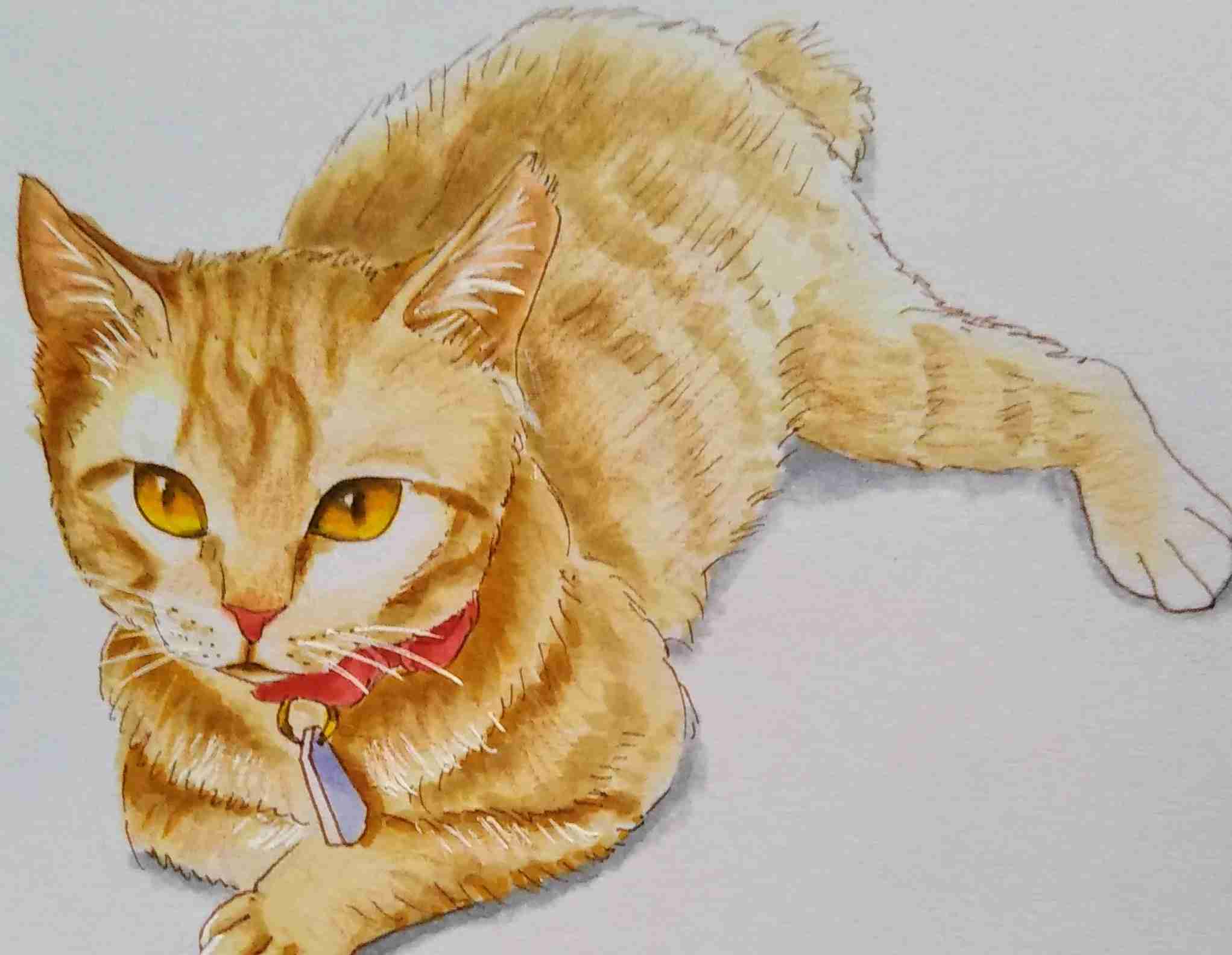 【お絵かき】お題を出すと、気が向いた誰かが描いてくれるトピ