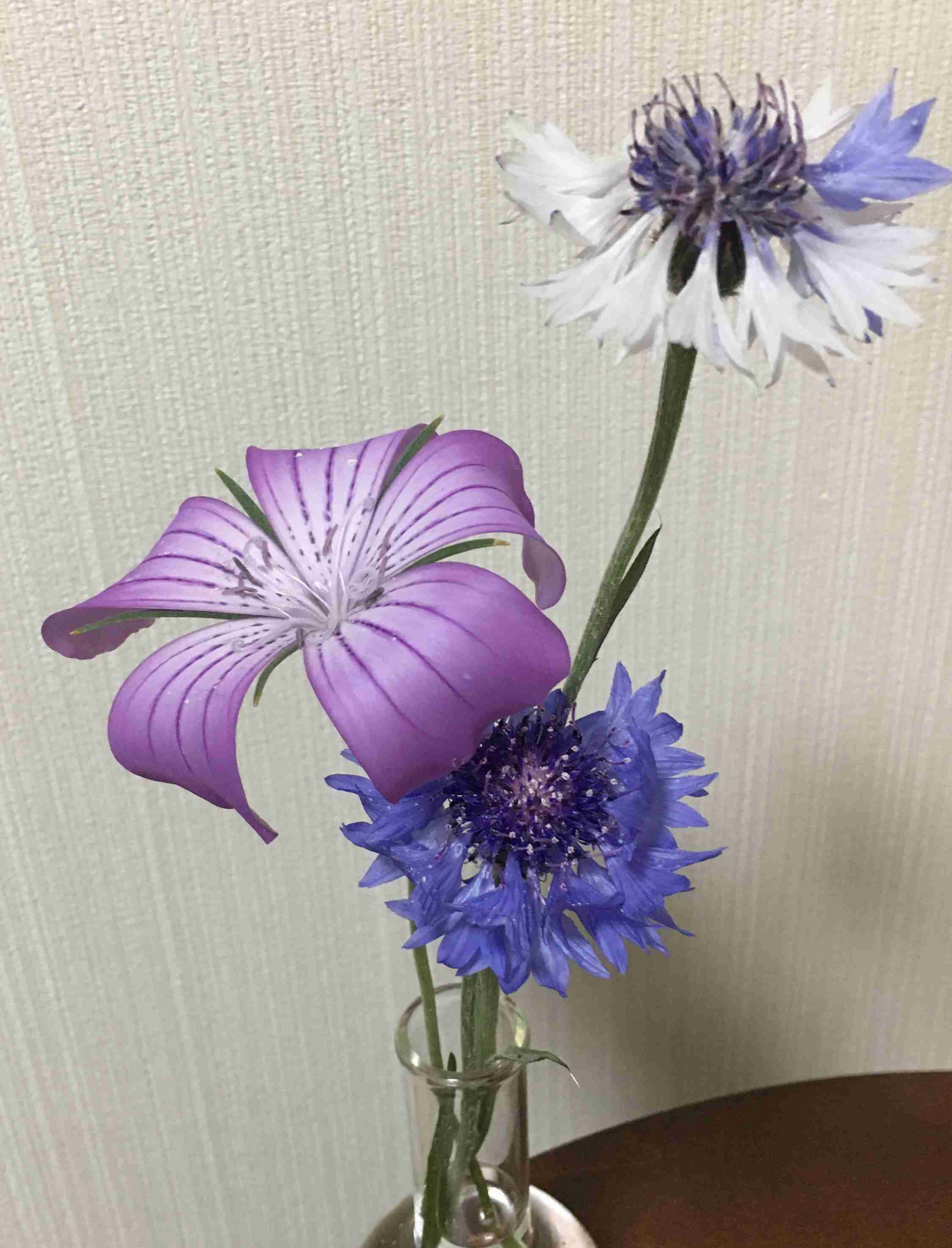 花、植物に関する話(不思議な体験)