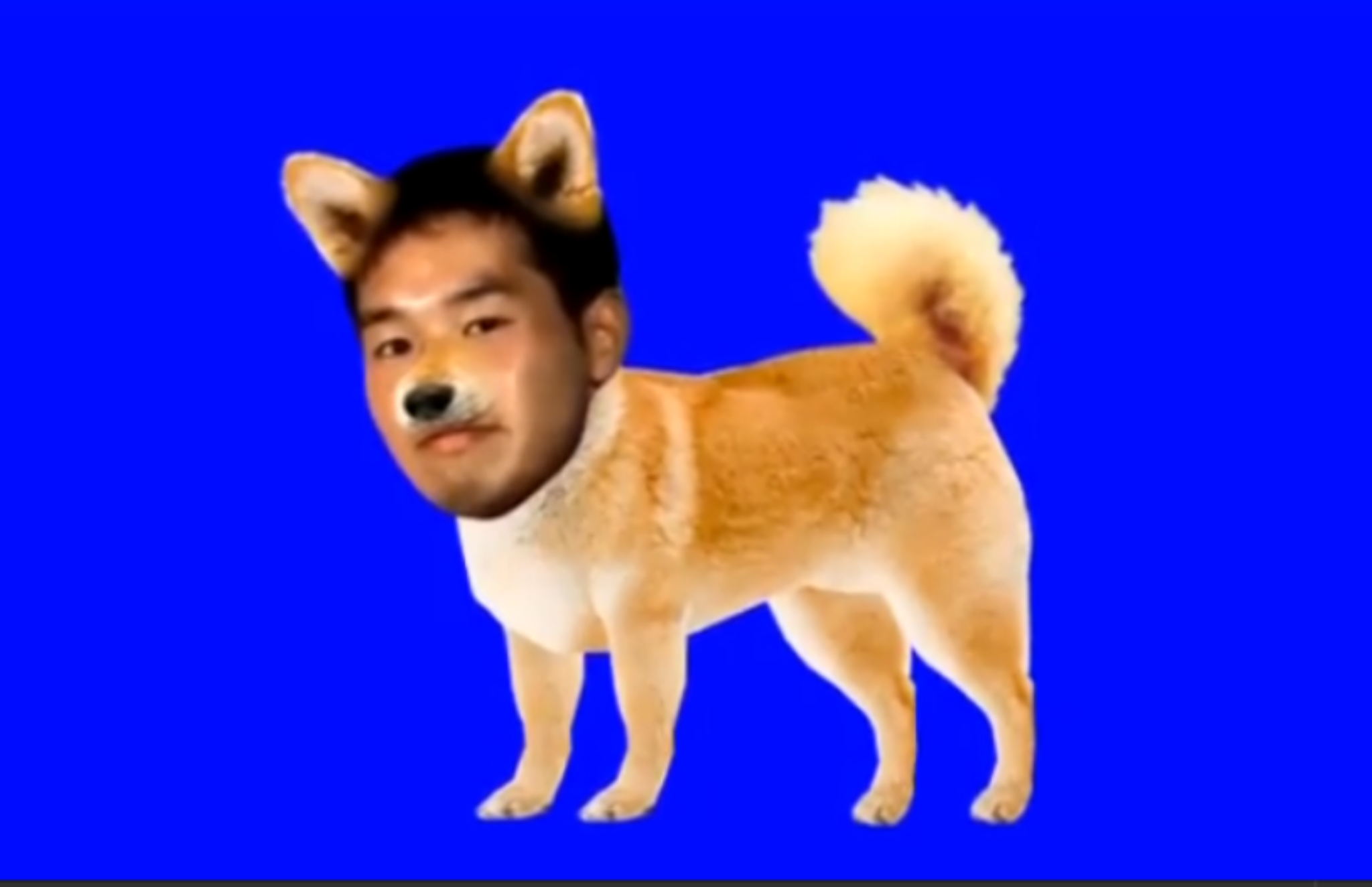 「犬を擬人化している」と感じる飼い主は52% 「子どものような存在」「相棒やパートナーのような存在」