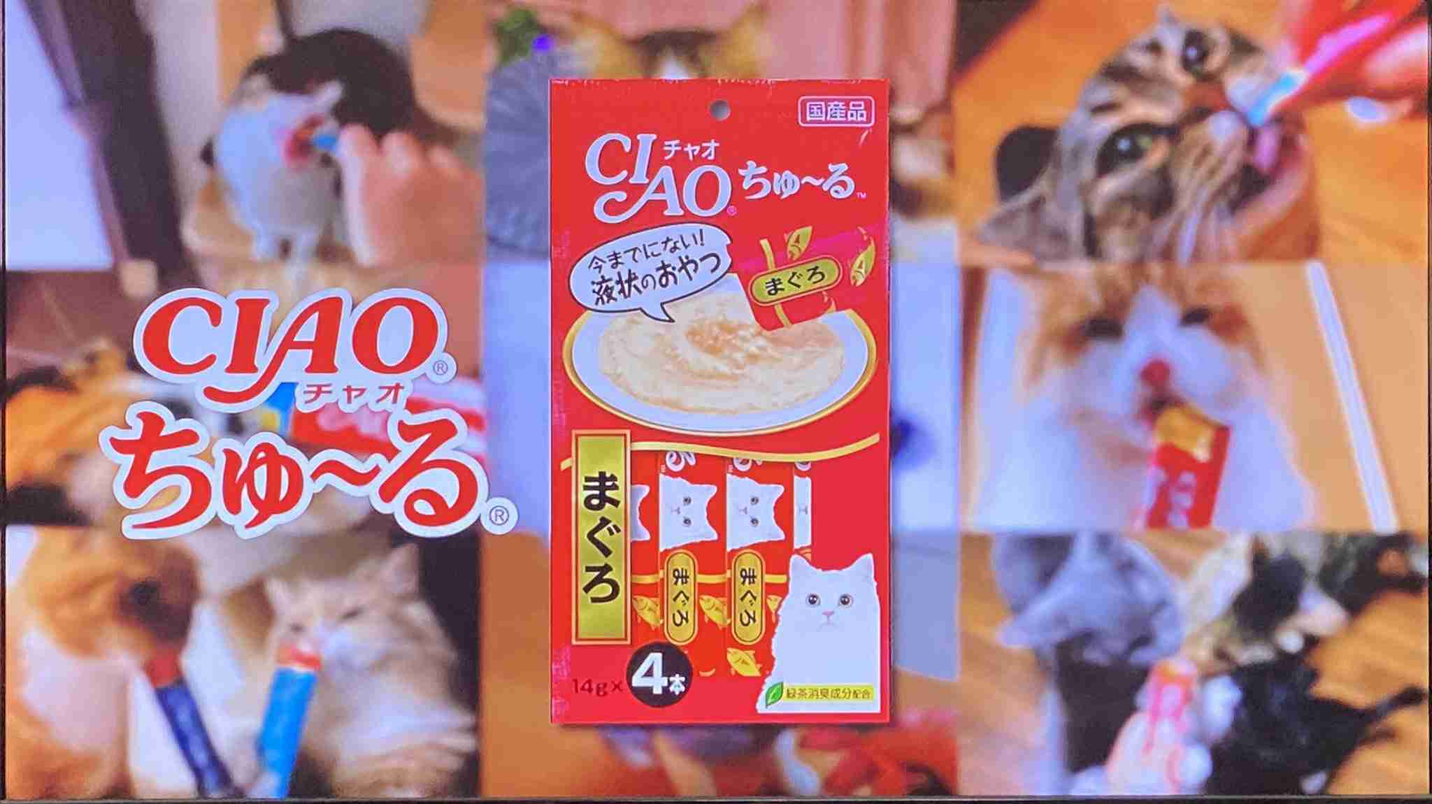 今この瞬間頭の中でループしている曲！