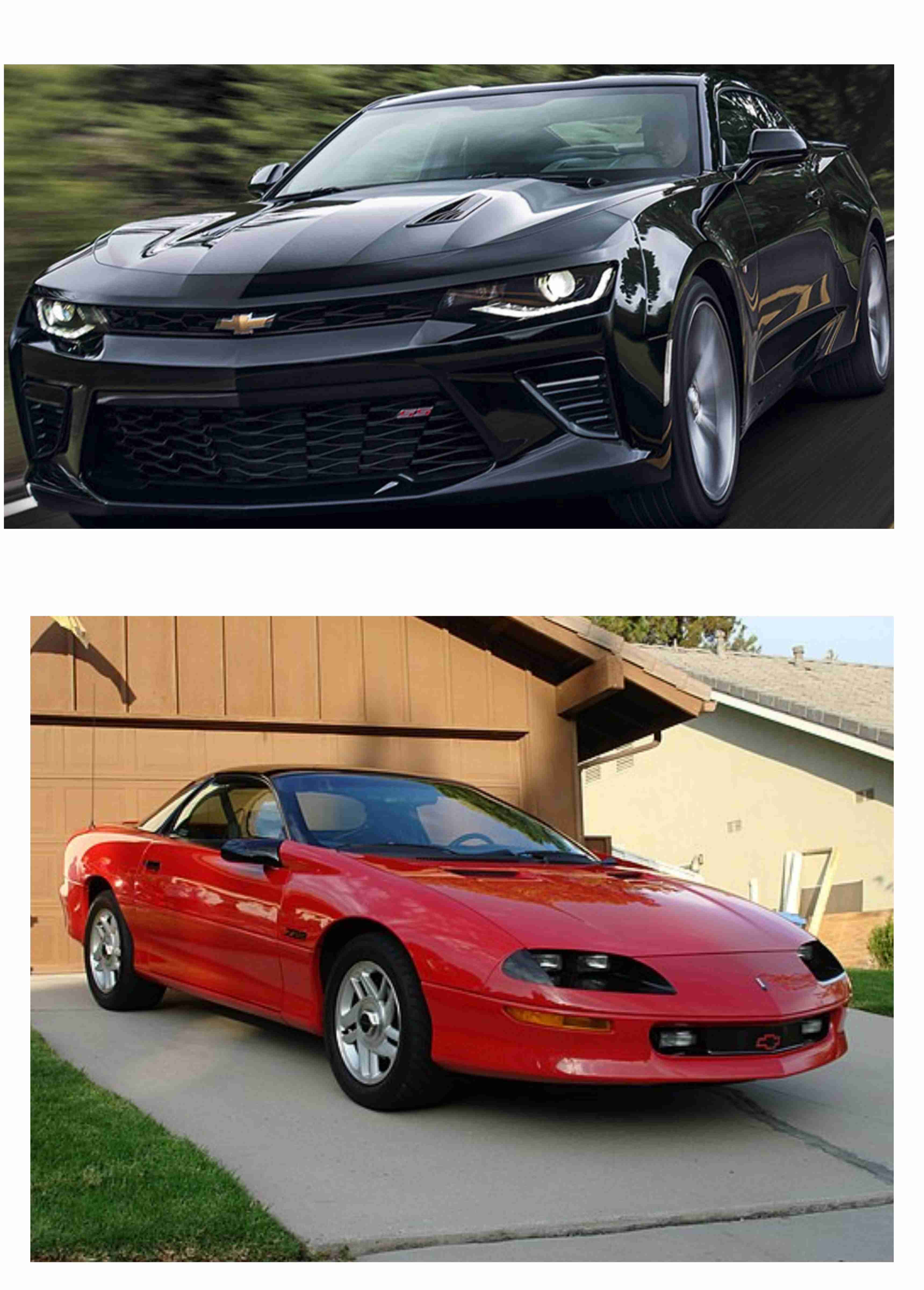 輸入車に乗るなら？