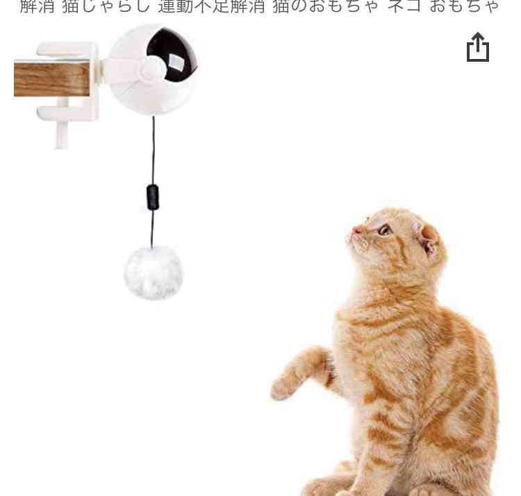 【猫を飼っている方限定】買って良かったもの、良くなかったものPart5
