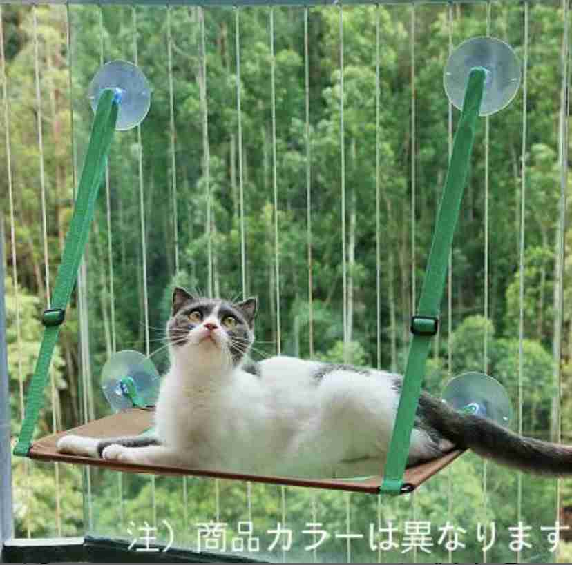 【猫を飼っている方限定】買って良かったもの、良くなかったものPart5
