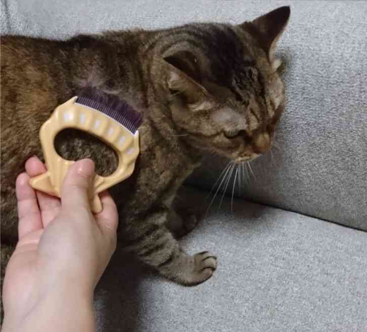 【猫を飼っている方限定】買って良かったもの、良くなかったものPart5