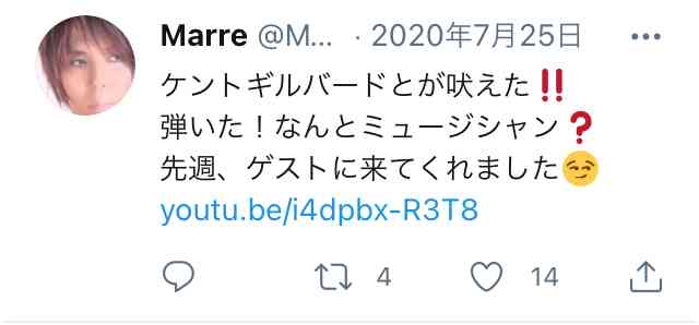 ツイッターにも音声交流機能　「クラブハウス」に追随