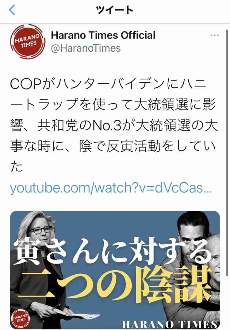 ツイッターにも音声交流機能　「クラブハウス」に追随