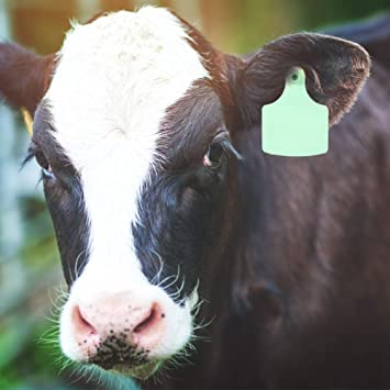 ツイッターにも音声交流機能　「クラブハウス」に追随