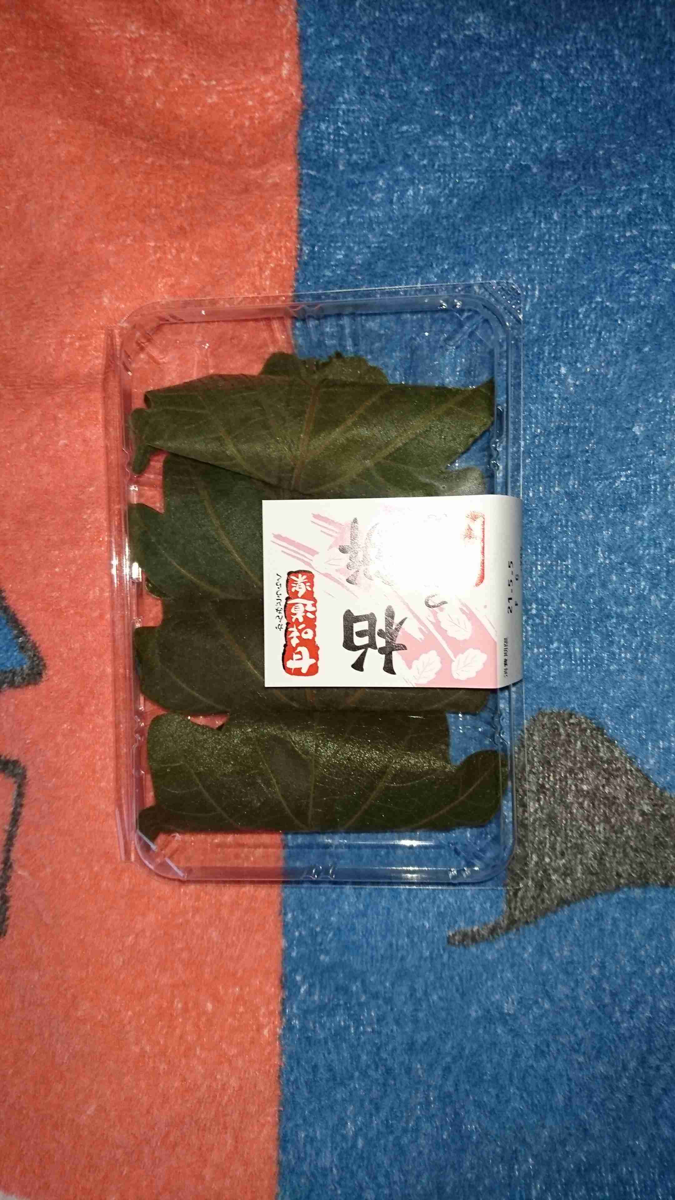 【耐久】ぼっちさんのゴールデンウィーク2021【実況】