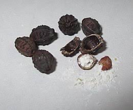子供の頃、個人的にハマった物