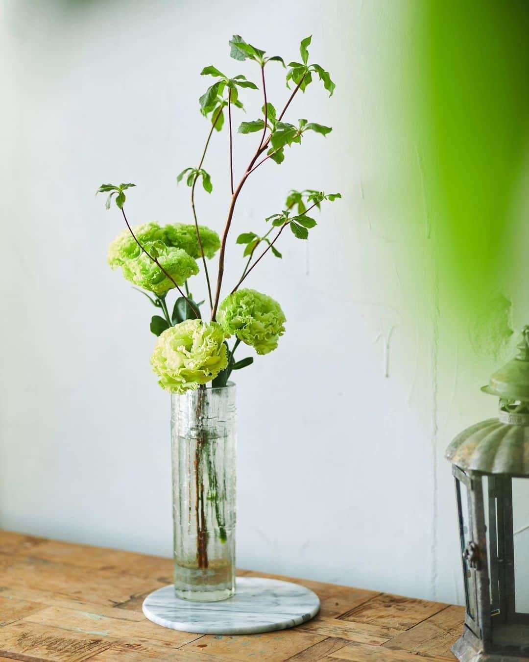 いろんなグリーンの花が見たい