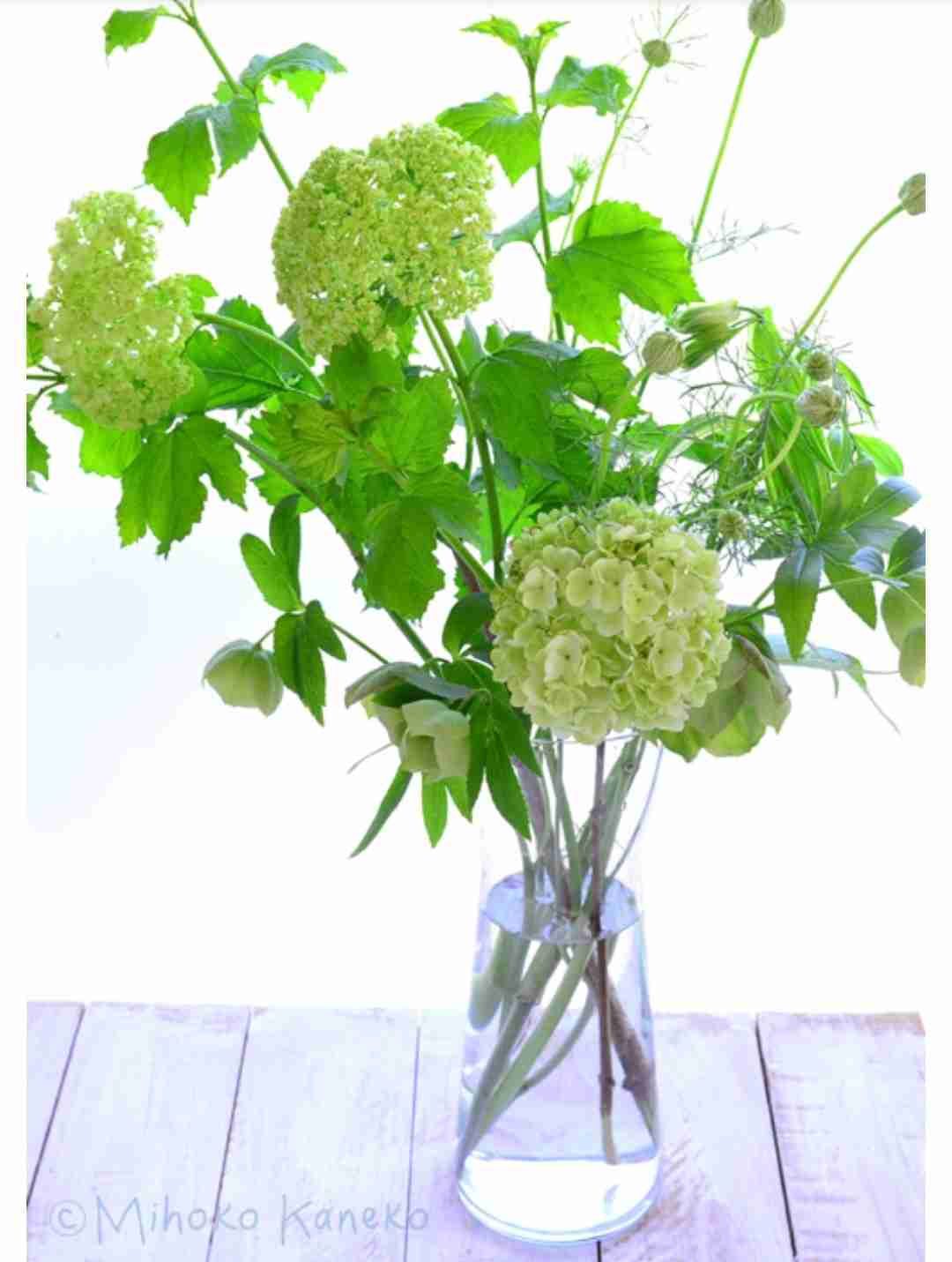 いろんなグリーンの花が見たい