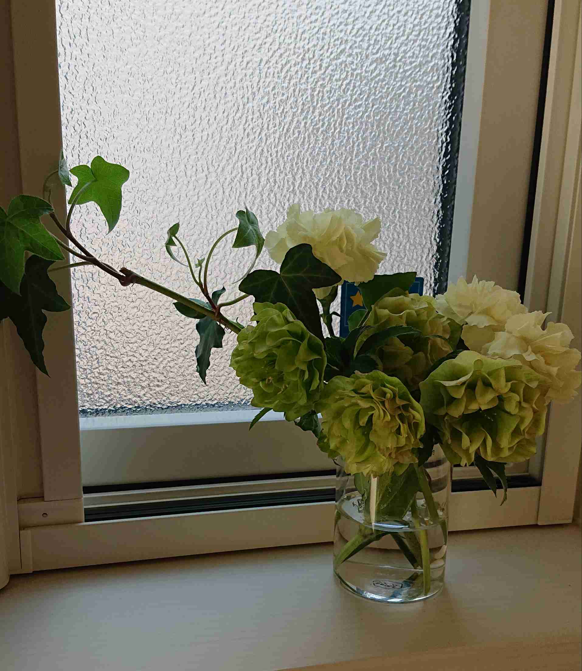 いろんなグリーンの花が見たい