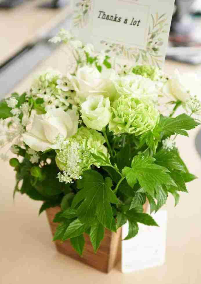 いろんなグリーンの花が見たい