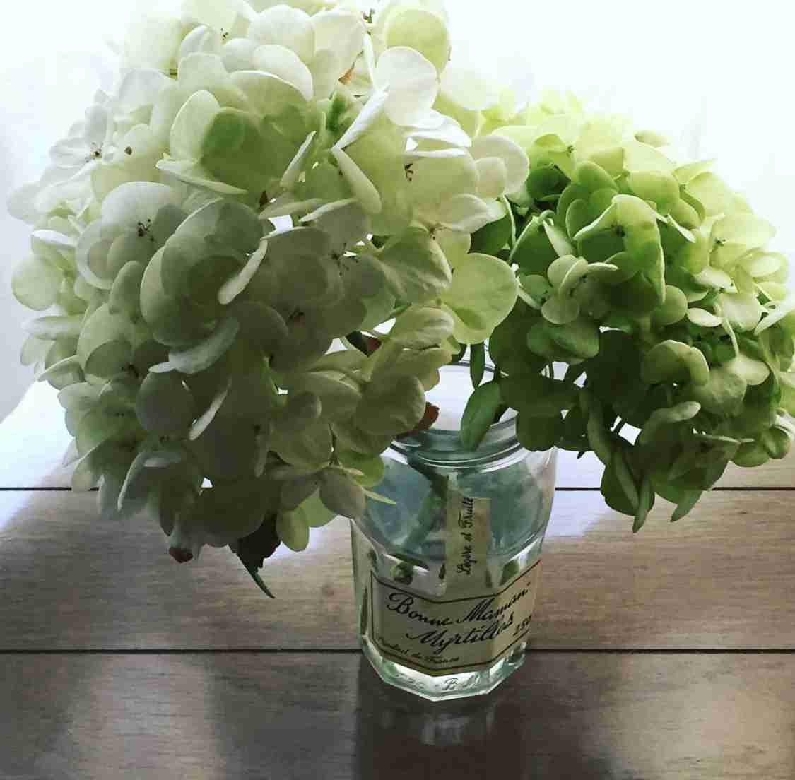 いろんなグリーンの花が見たい