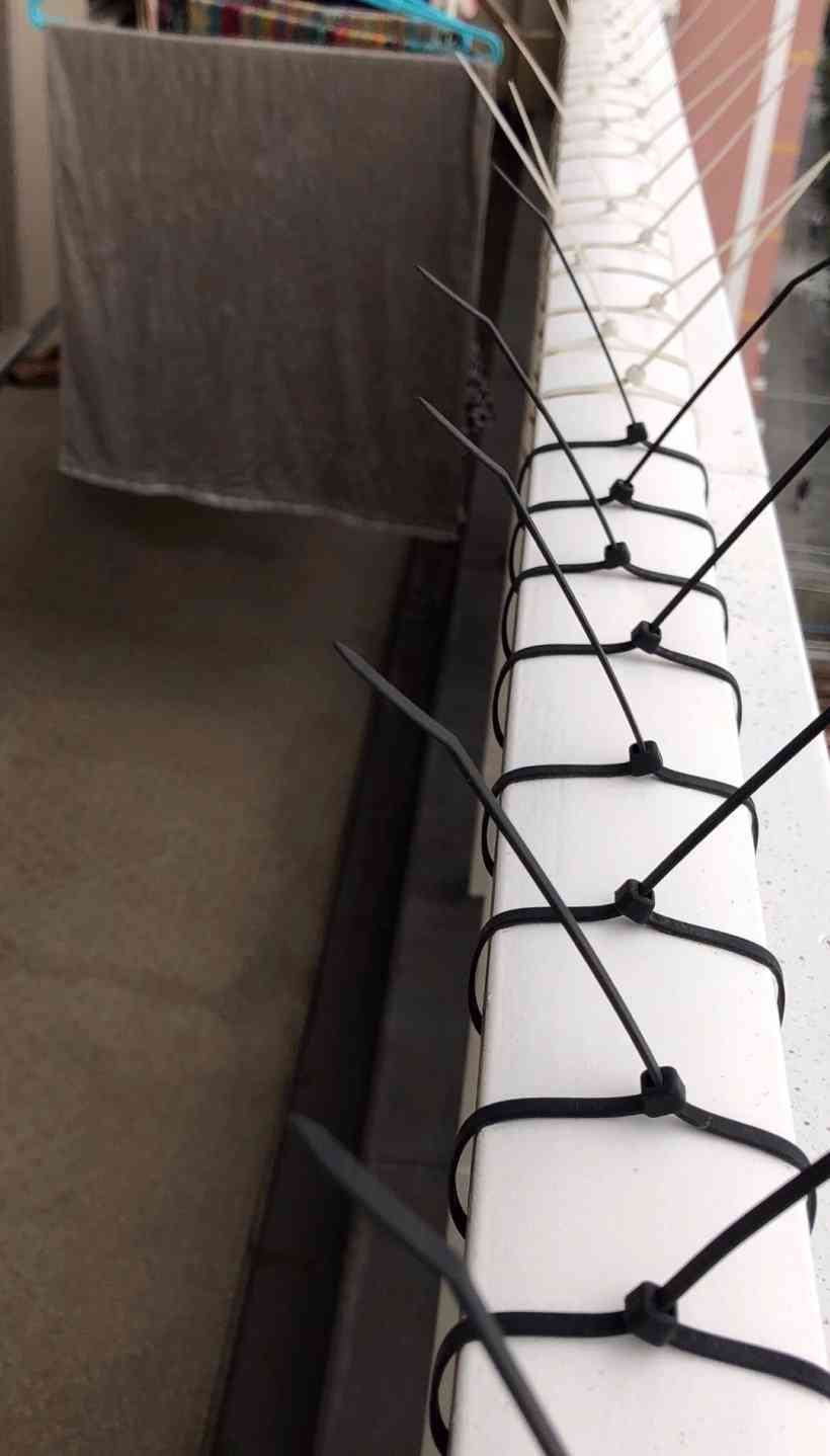 ベランダの鳥撃退！