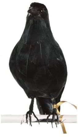 ベランダの鳥撃退！