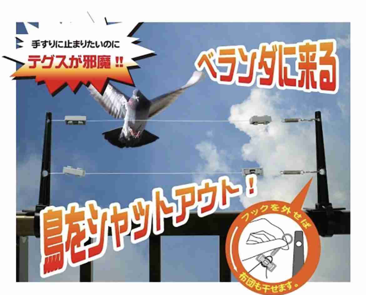 ベランダの鳥撃退！