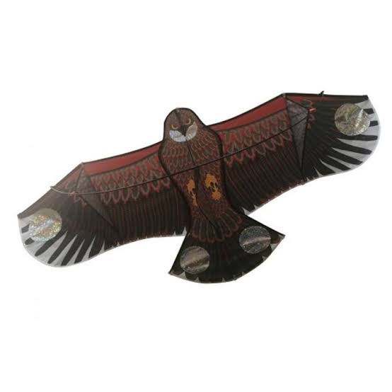 ベランダの鳥撃退！