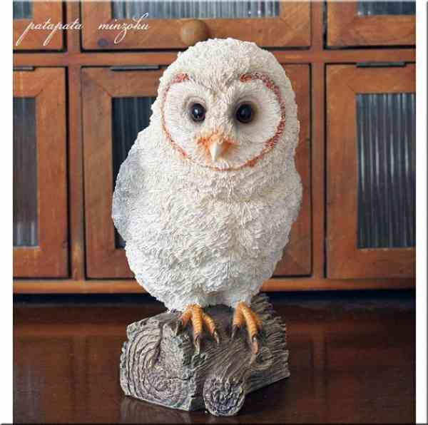 ベランダの鳥撃退！