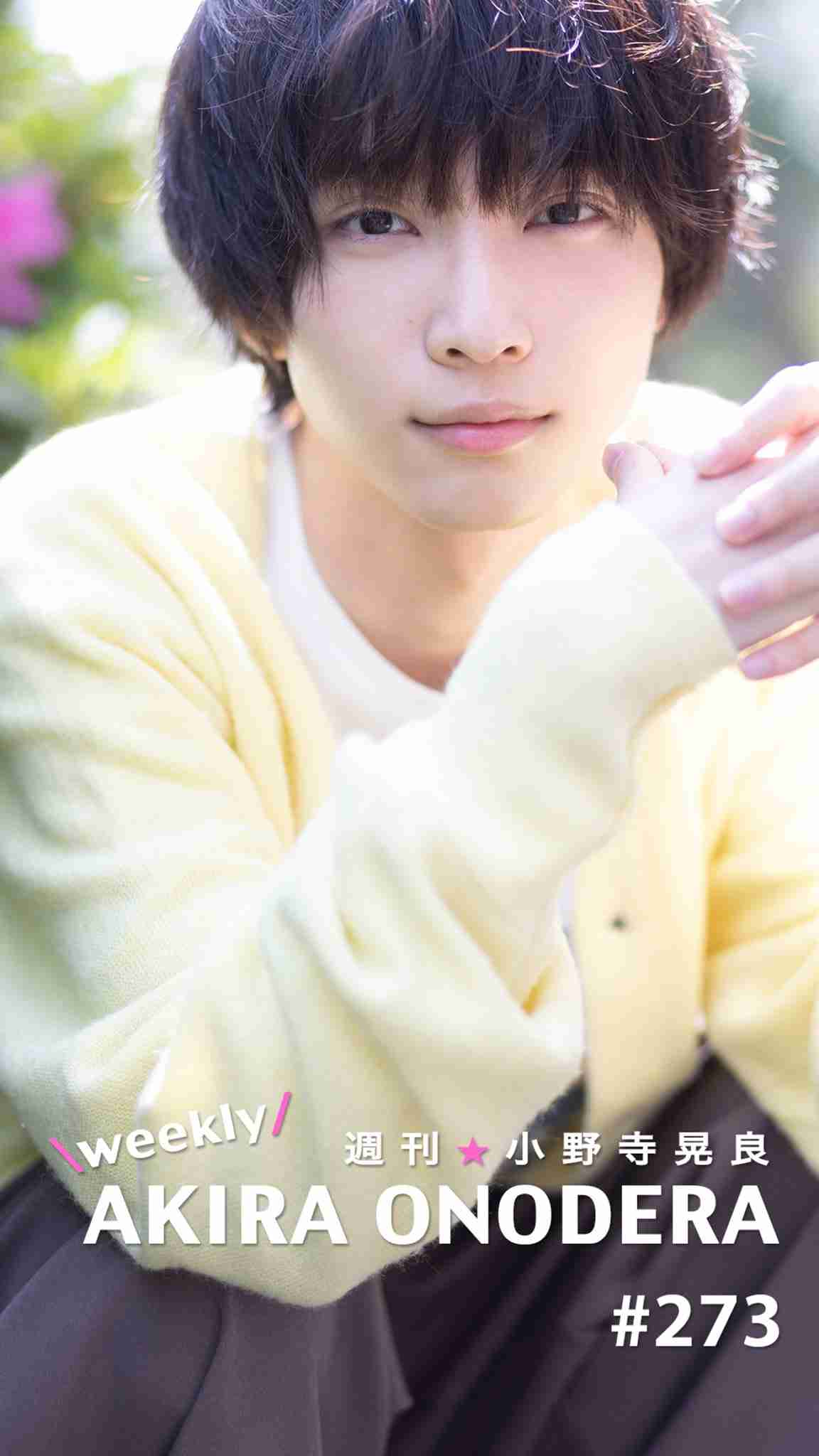 異性になったら美男美女になりそうな芸能人