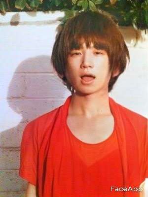 異性になったら美男美女になりそうな芸能人