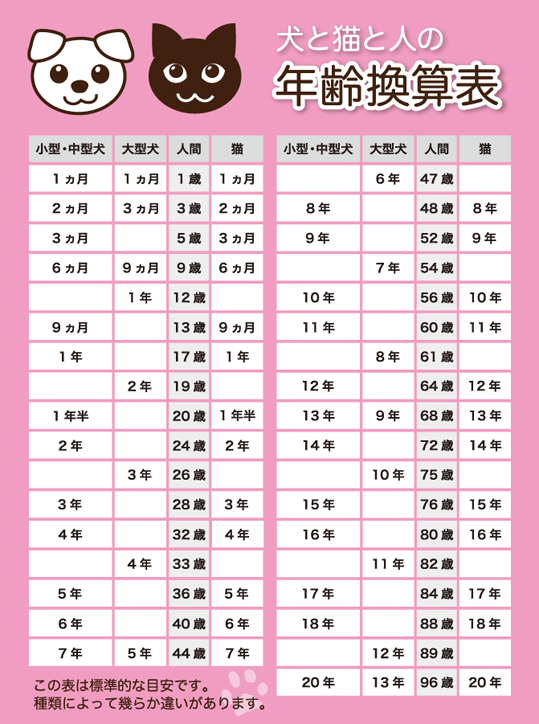 ためになる、勉強になる画像を貼っていこう