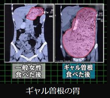 ためになる、勉強になる画像を貼っていこう