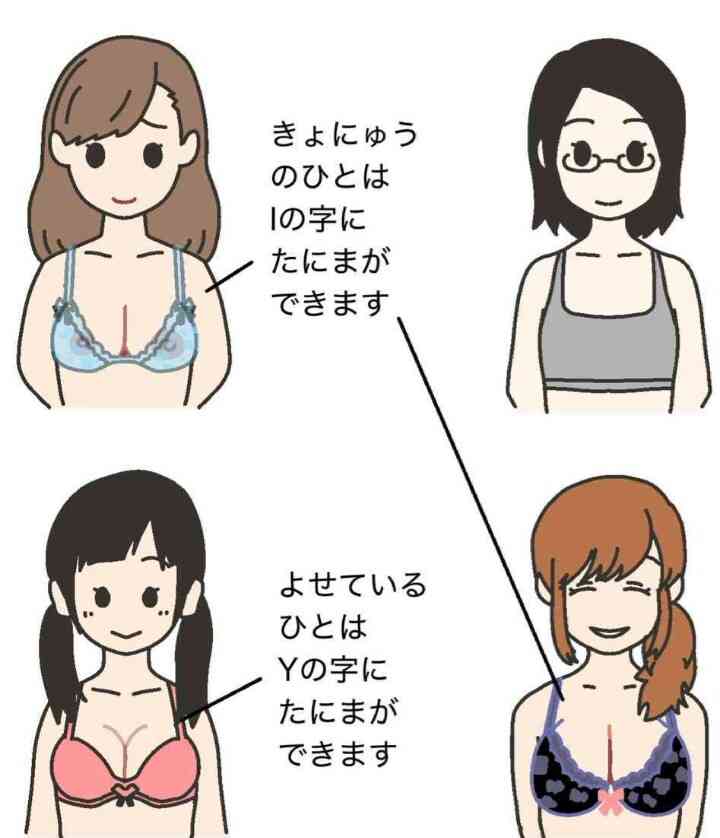 ためになる、勉強になる画像を貼っていこう