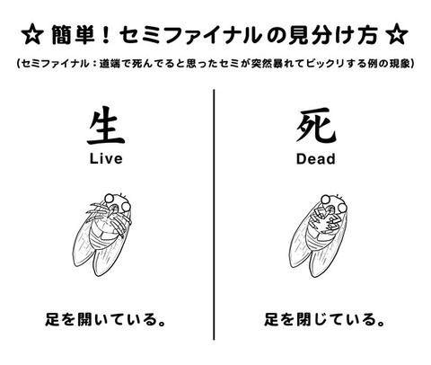 ためになる、勉強になる画像を貼っていこう