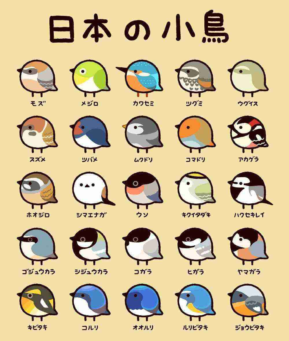 ためになる、勉強になる画像を貼っていこう