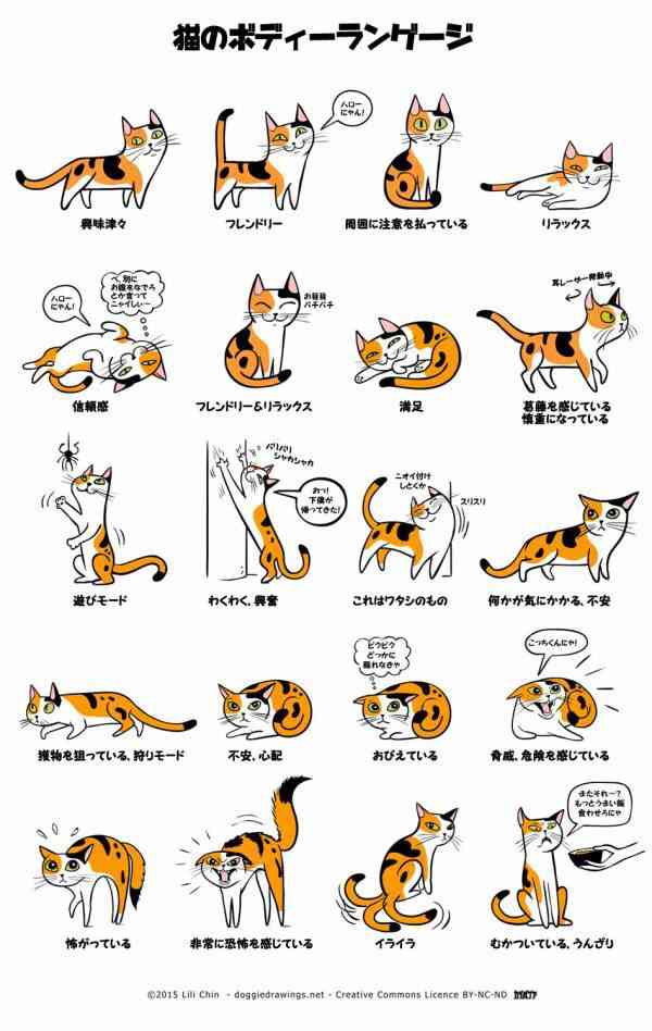 ためになる、勉強になる画像を貼っていこう
