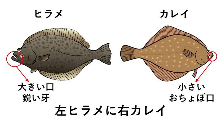 ためになる、勉強になる画像を貼っていこう