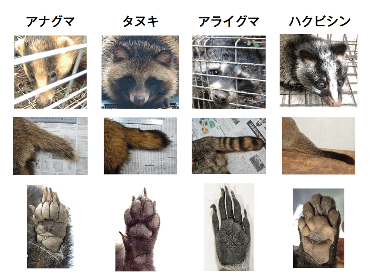 ためになる、勉強になる画像を貼っていこう