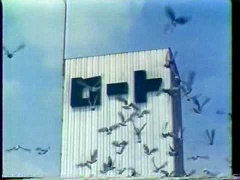 製薬会社で働いてる人〜?