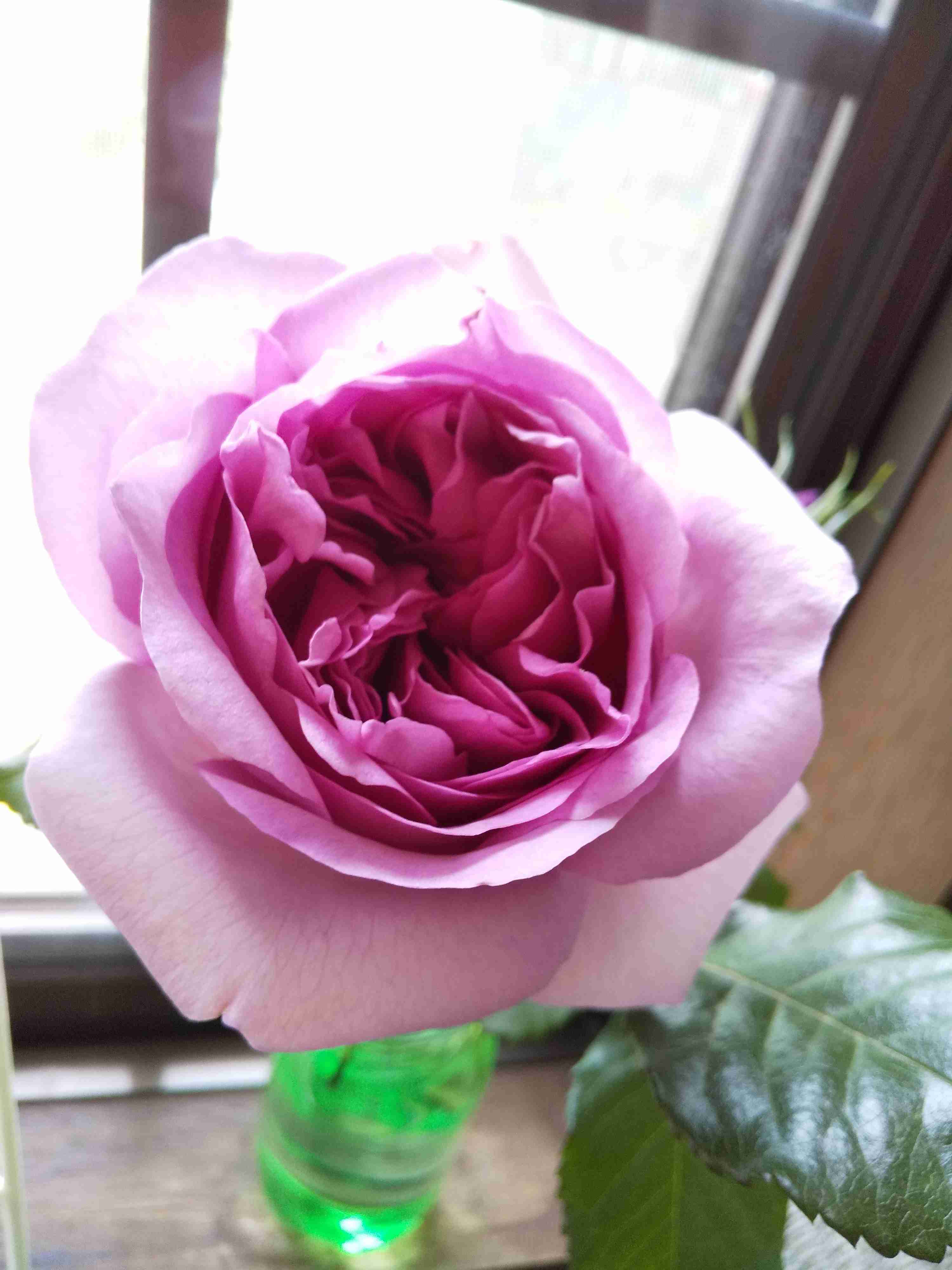 お花の香りが好きな人