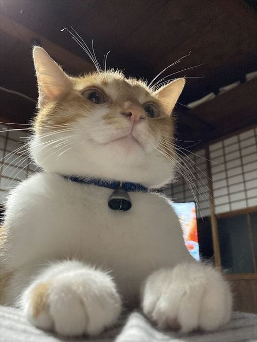 楽しい時に限って…