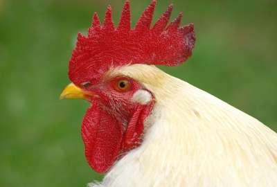 【お絵かき】自分好みの男の子を描くトピpart13