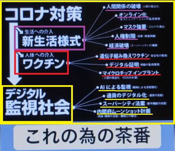 ファイザー製「12歳以上」容認 ワクチン接種年齢、31日引き下げへ―厚労省