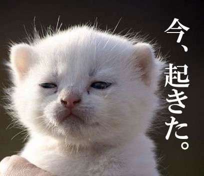 美容院で失敗した経験談教えて
