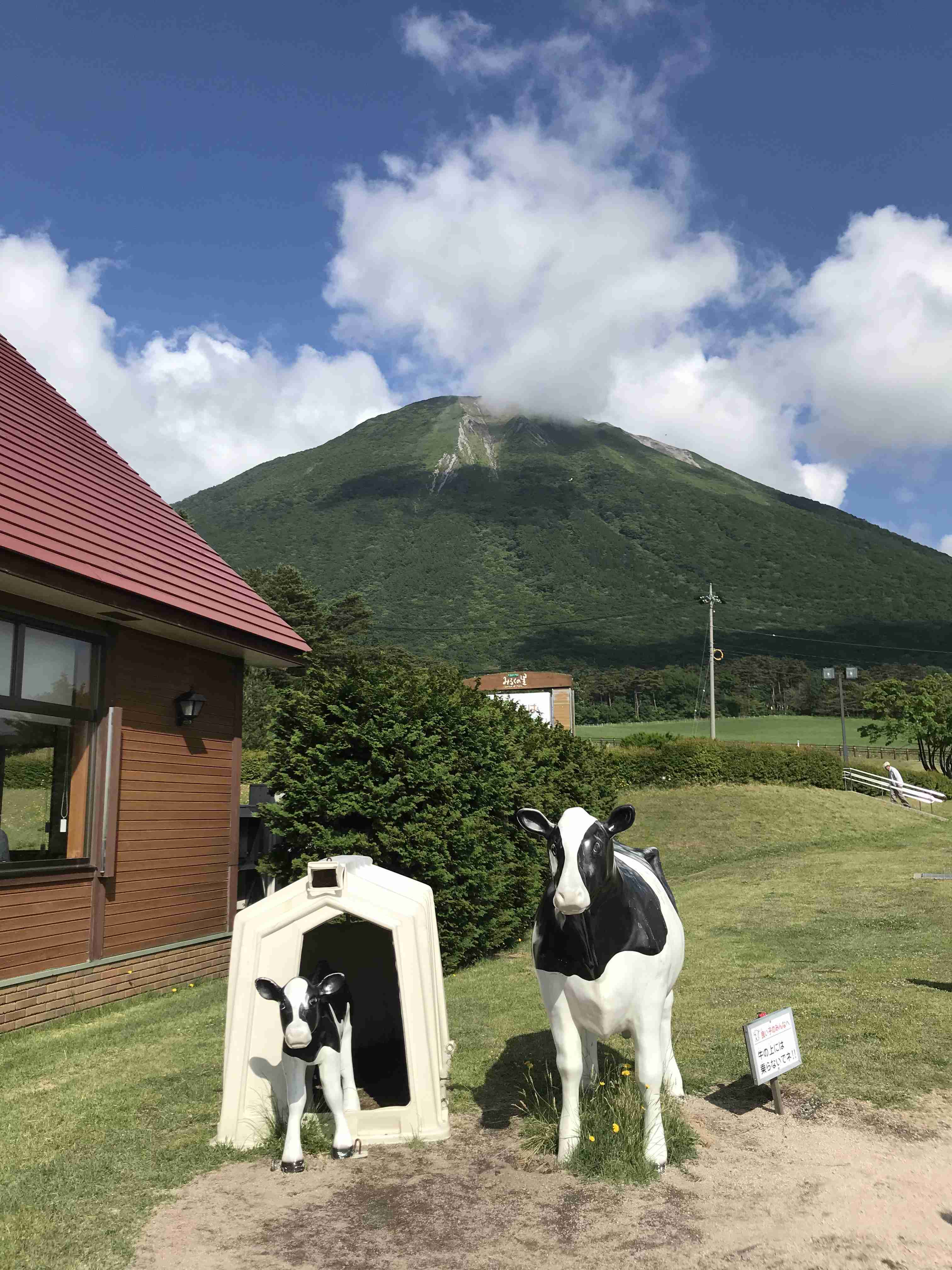 コロナ禍だし、過去に行った旅行の写真でも見せ合いませんか