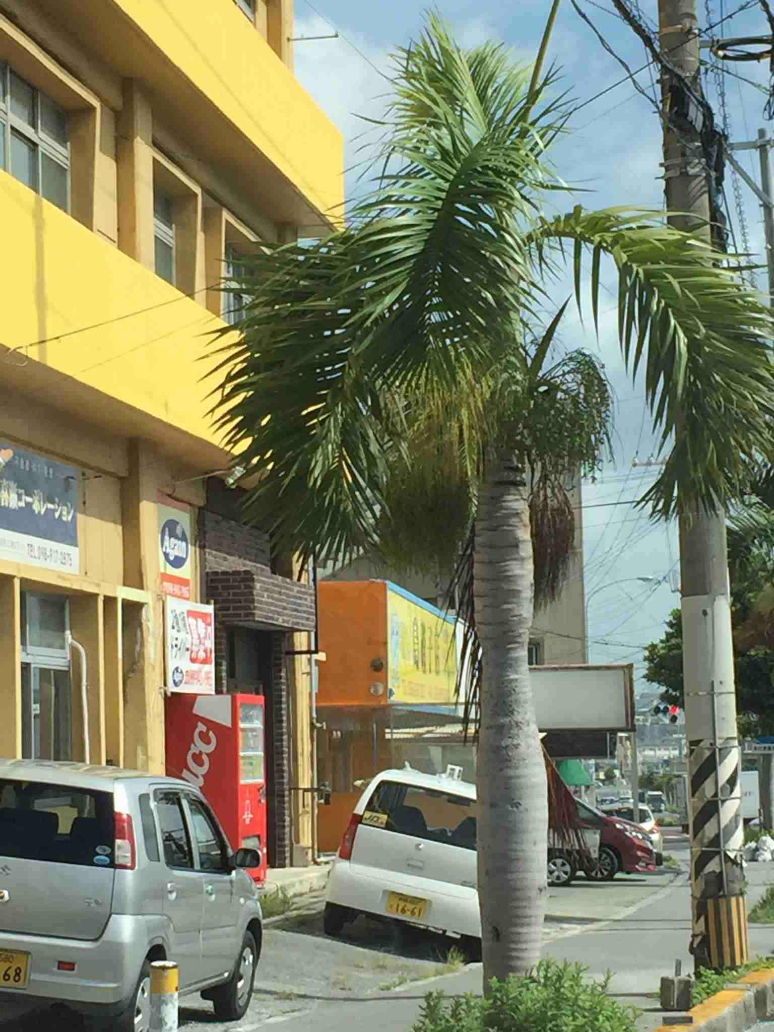 コロナ禍だし、過去に行った旅行の写真でも見せ合いませんか