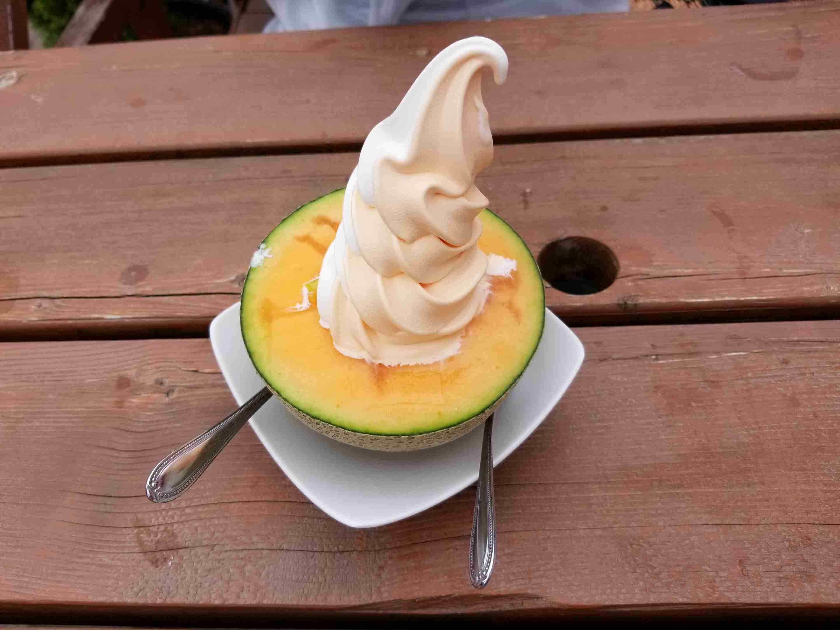 コロナ禍だし、過去に行った旅行の写真でも見せ合いませんか