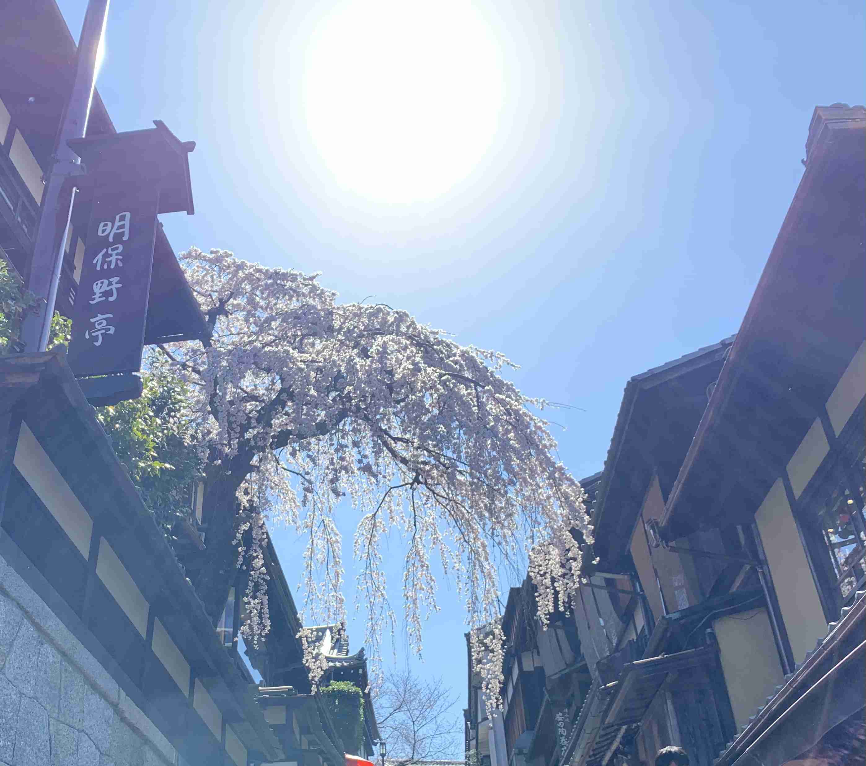 コロナ禍だし、過去に行った旅行の写真でも見せ合いませんか