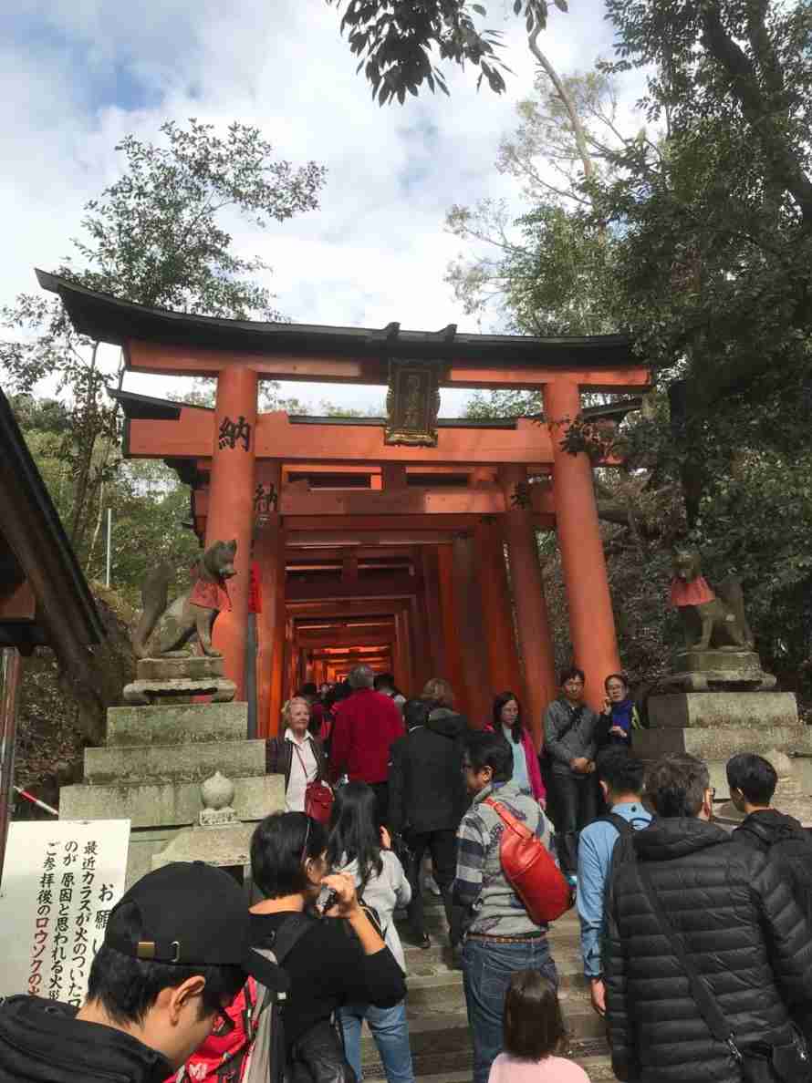 コロナ禍だし、過去に行った旅行の写真でも見せ合いませんか