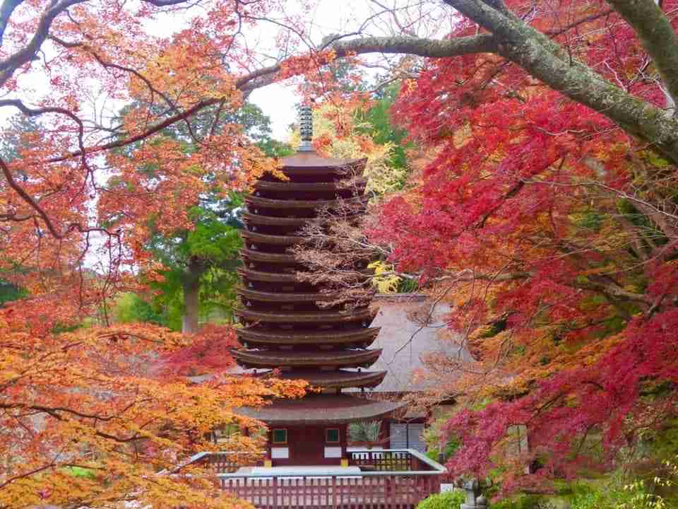 コロナ禍だし、過去に行った旅行の写真でも見せ合いませんか