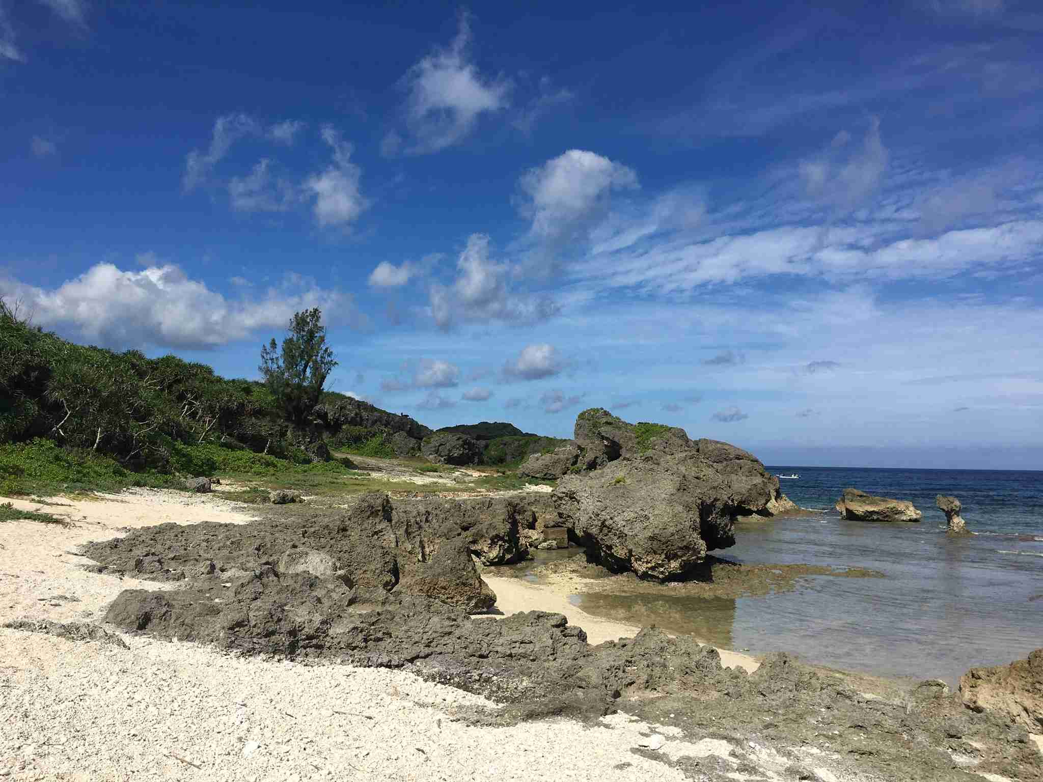 コロナ禍だし、過去に行った旅行の写真でも見せ合いませんか