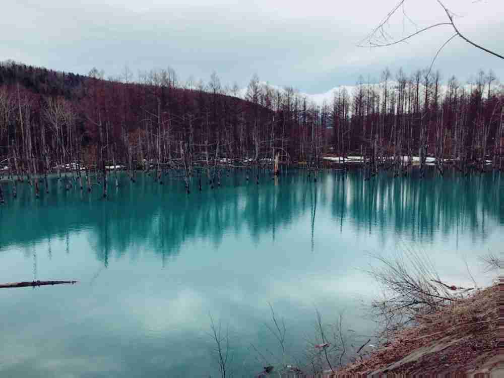 コロナ禍だし、過去に行った旅行の写真でも見せ合いませんか