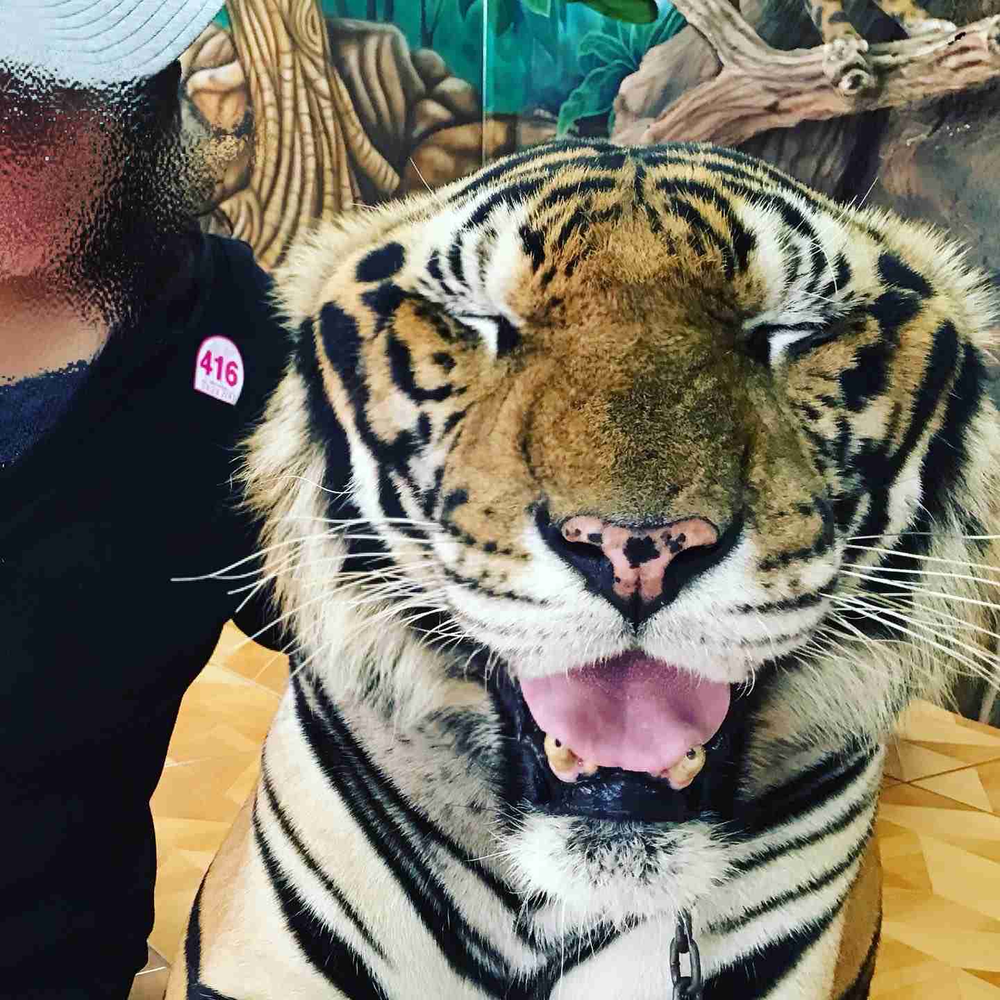 コロナ禍だし、過去に行った旅行の写真でも見せ合いませんか