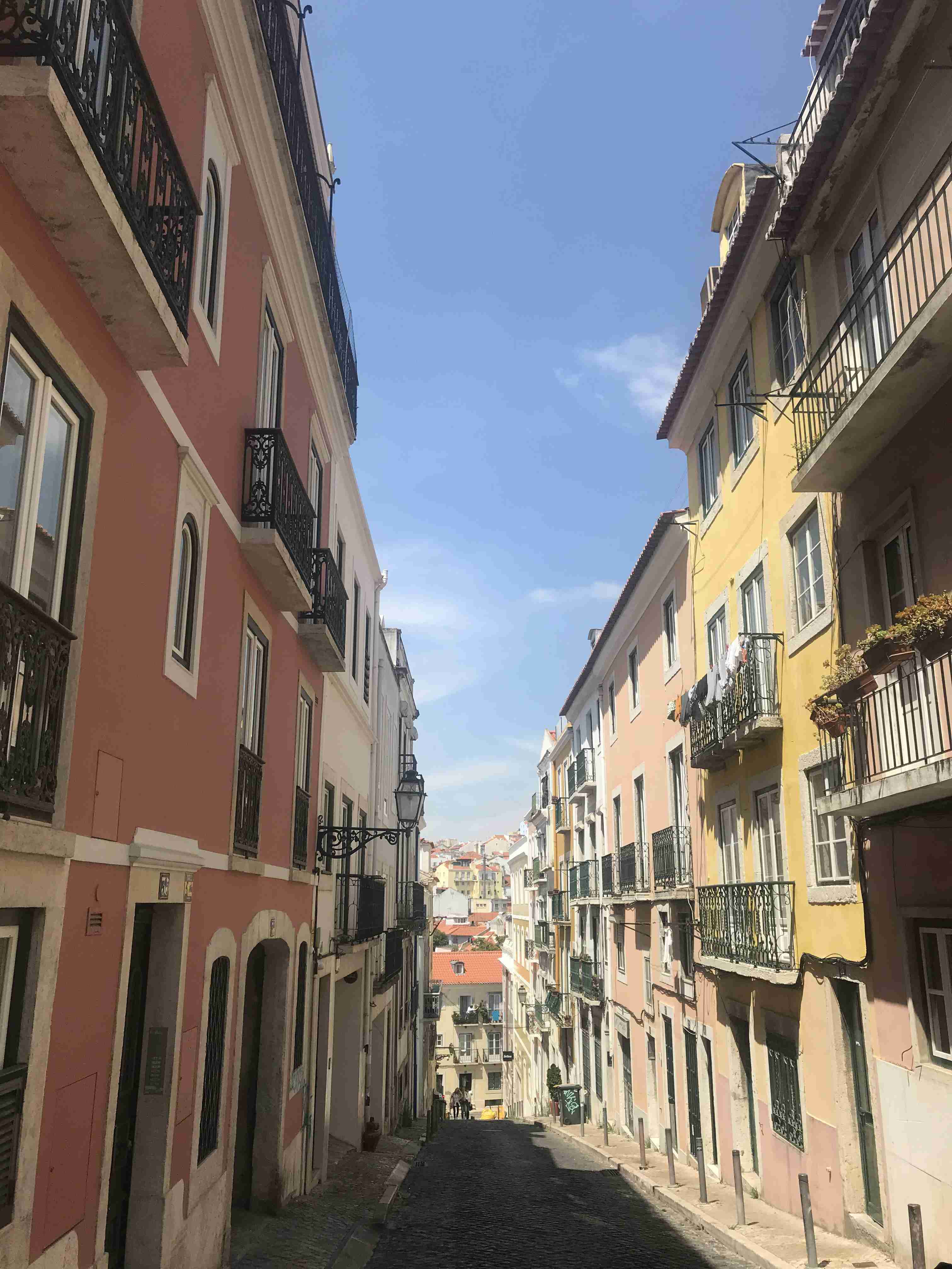 コロナ禍だし、過去に行った旅行の写真でも見せ合いませんか